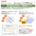 画像3: 夜も見えにくい断熱UVカットミラーレースカーテン　ロフティーズ　イージーオーダー　1枚入り【受注生産A】