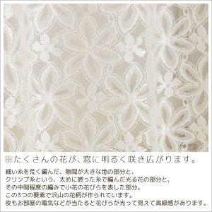 画像4: 「カーテン生地のみ販売」　光沢のある花柄レースカーテン 4222オフホワイト　生地巾約150cm 【1cm単位の価格です】