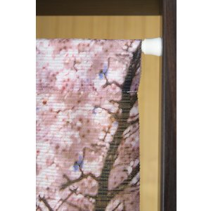 画像3: ★のれん 32045「富士山と桜」 巾85×高さ150cm【在庫品】 ノレン 暖簾 富士山 桜 湖 柄プリント メール便可(1枚まで)