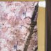 画像3: ★のれん 32045「富士山と桜」 巾85×高さ150cm【在庫品】 ノレン 暖簾 富士山 桜 湖 柄プリント メール便可(1枚まで) (3)