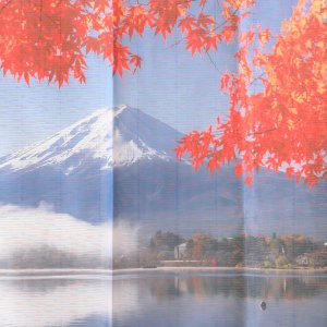 画像8: ★のれん 32046「富士山と紅葉」 巾85×高さ150cm【在庫品】 ノレン 暖簾 富士山 紅葉 湖 柄プリント メール便可(1枚まで)