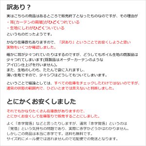 画像7: ★送料無料 レースカーテン 訳あり アウトレット 1枚入り グラデーションカラー カラフル 色付きレース 幅100cm×高さ(丈)133・176・198cm 1枚入り 既製品 均一価格 幅100センチ【在庫品】