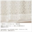 画像6: 「カーテン生地のみ販売」　光沢のある花柄レースカーテン 4222オフホワイト　生地巾約150cm 【1cm単位の価格です】 (6)