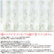 画像5: 継ぎ目が入らない2倍ヒダオーダーカーテン刺繍ボイルレースカーテン 4280 4337　オーダーカーテン仕様　1窓単位【受注生産A】 (5)